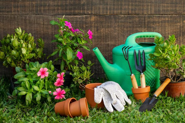 Home & Garden