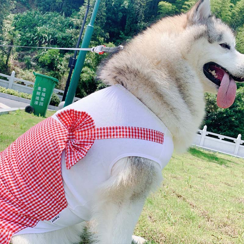 Plaid Pet Dress | Cotton Dog & Cat Skirt Outfit Secondary image