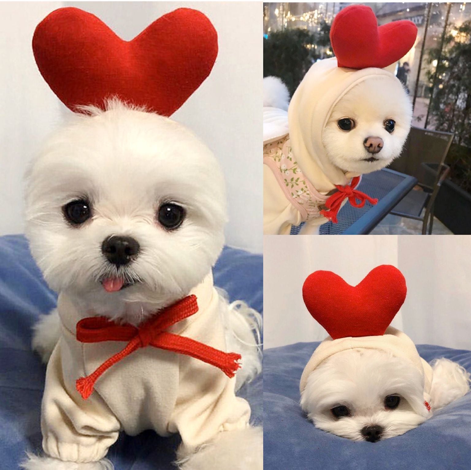 Cute Pet Hoodie Sweater | Warm Dog & Cat Winter Clothes Secondary image