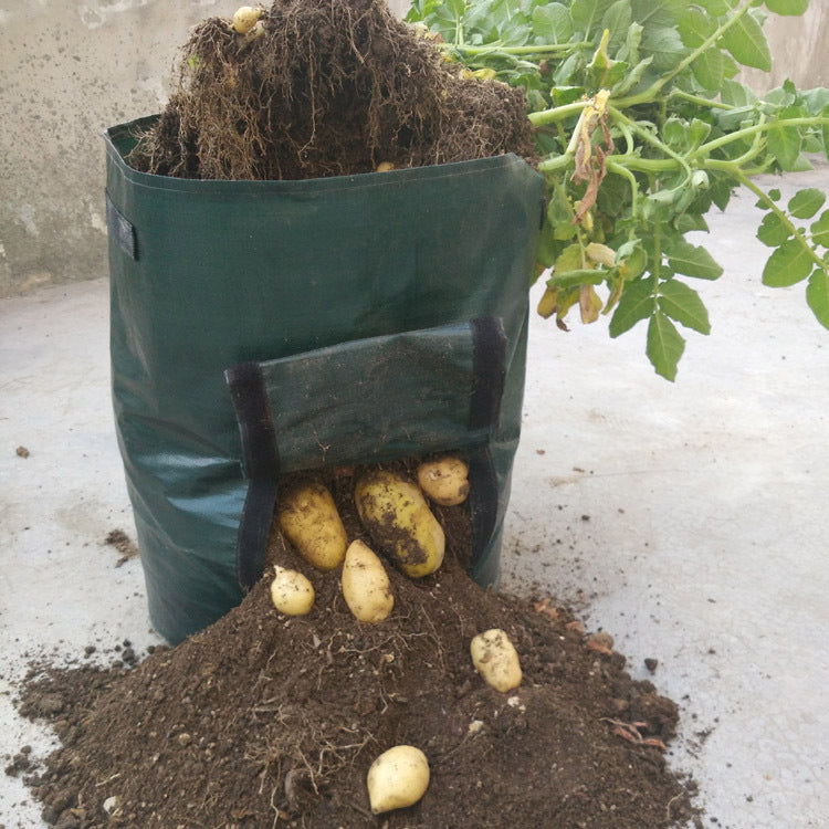 PE cloth garden planting bag Secondary image