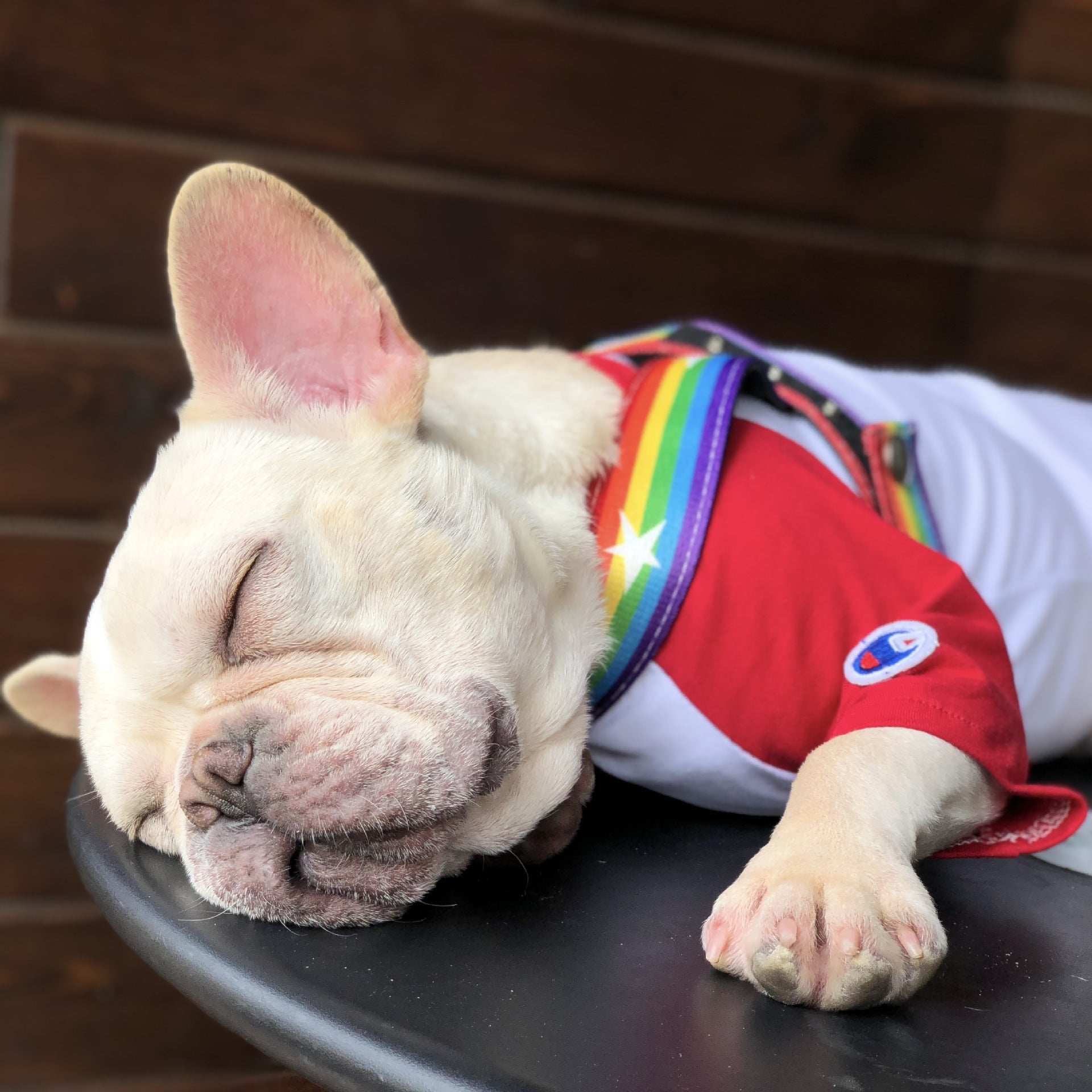 Rainbow cool dog chain dog leash Secondary image