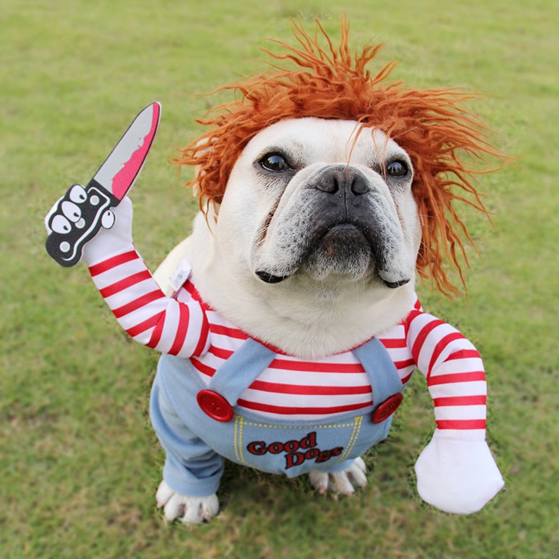 Halloween Pet Costume | Funny Adjustable Dog Cosplay Outfit Secondary image