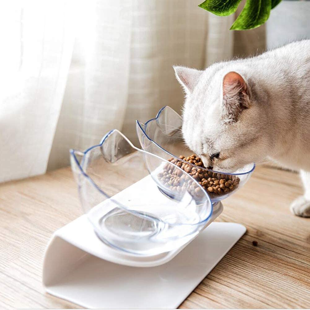 Cat Elevated Feeder Stand With Transparent Bowl Secondary image